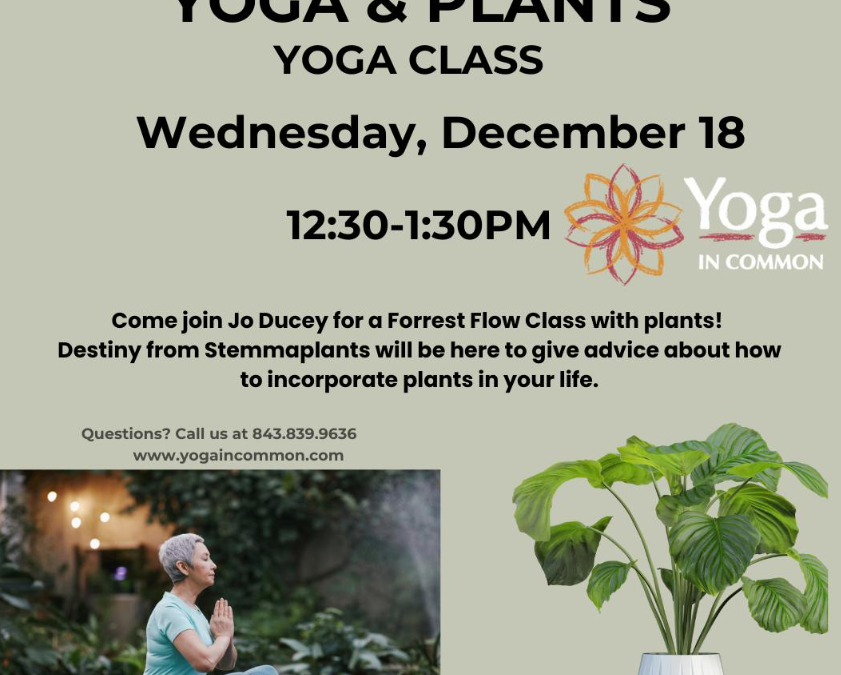 Yoga & Plants